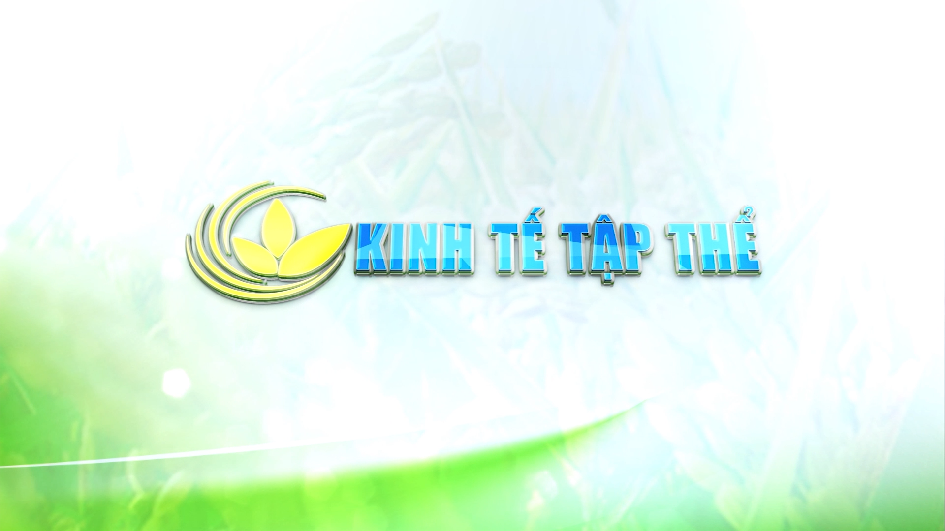Kinh tế tập thể  (08.05.2025)